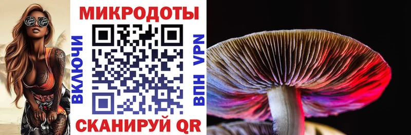 Галлюциногенные грибы прущие грибы  Купить  Лыткарино 