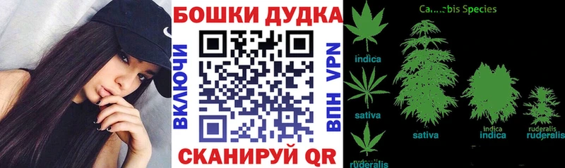 Купить закладки  Лыткарино  Каннабис VHQ 